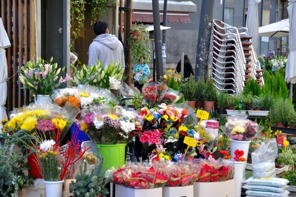 Far Home Plaza Mayor Madrid Ngoại thất bức ảnh