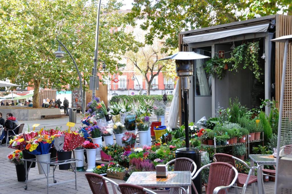 Far Home Plaza Mayor Madrid Ngoại thất bức ảnh